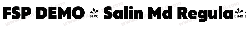 FSP DEMO - Salin Md Regula字体转换